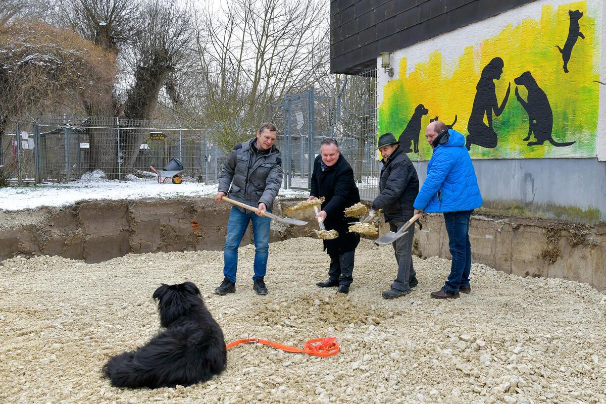 Erweiterung Tierheim
