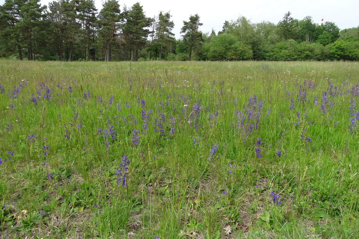 Vetragsnaturschutzprogramm