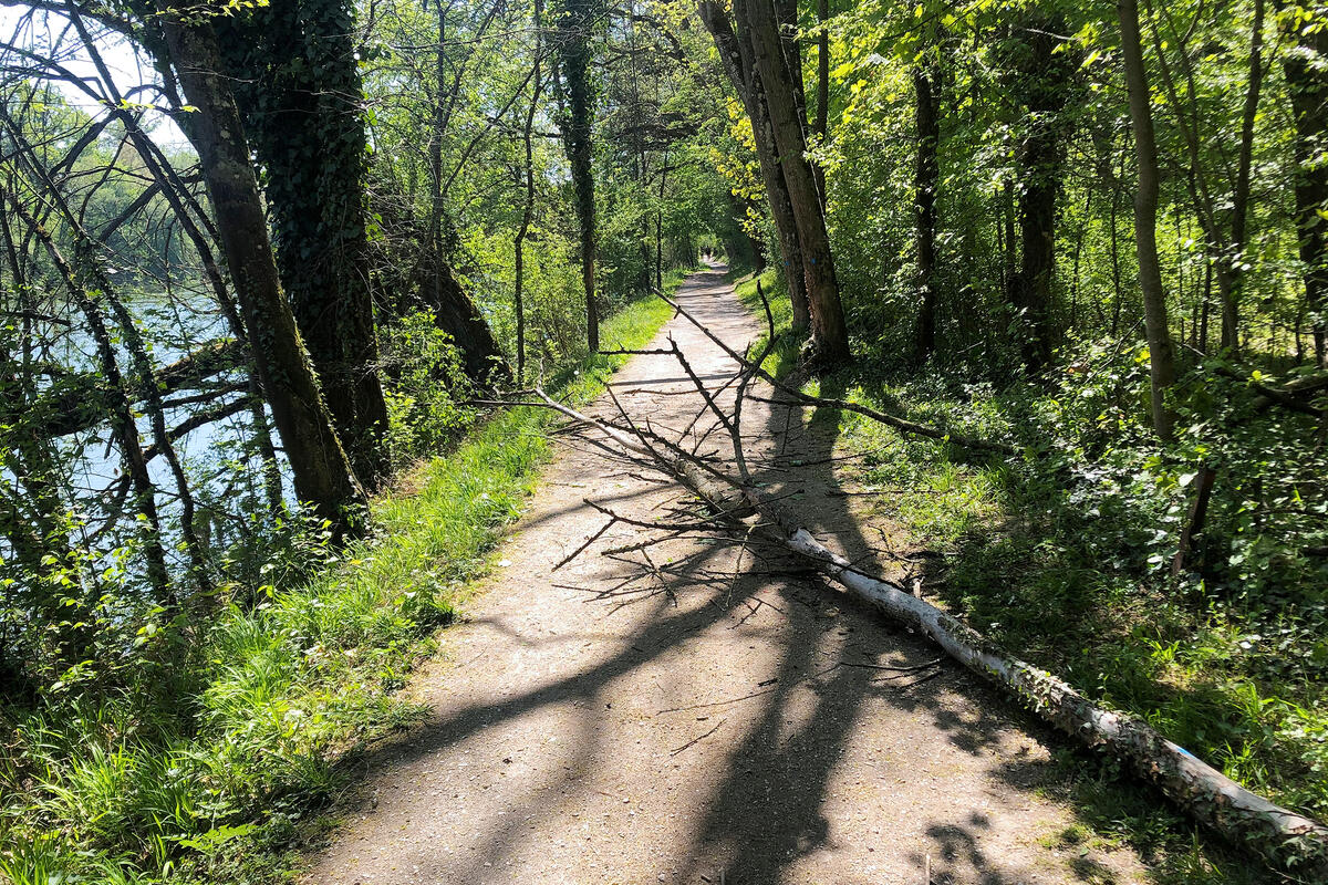 Sperre Treidelpfad