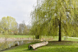 Bild vergrößern: Stadtteilpark Am Augraben in Unterhaunstadt