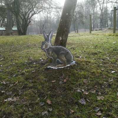 Bild vergrößern: Pirschpfad im Wildpark am Baggersee