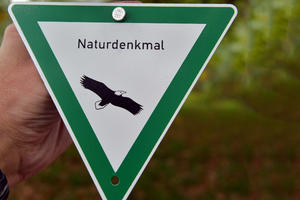 Bild vergr&ouml;&szlig;ern: Hinweisschild Naturdenkmal