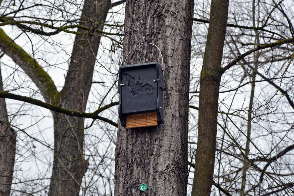 Fledermausnistkasten am Treidelweg