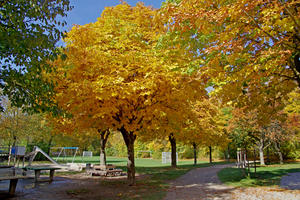 Bild vergrößern: Der Nordpark im Herbst