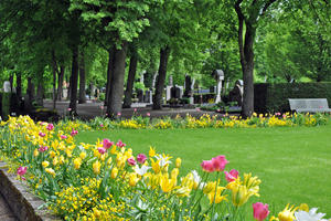 Bild vergrößern: Westfriedhof