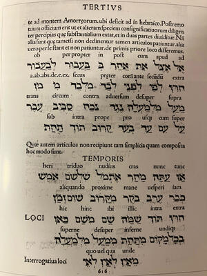 Bild vergr&ouml;&szlig;ern: Aemilius Romanus