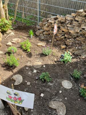 Bild vergr&ouml;&szlig;ern: Kr&auml;utergarten