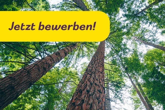 Jetzt bewerben f&uuml;r den B&uuml;rgerenergiepreis