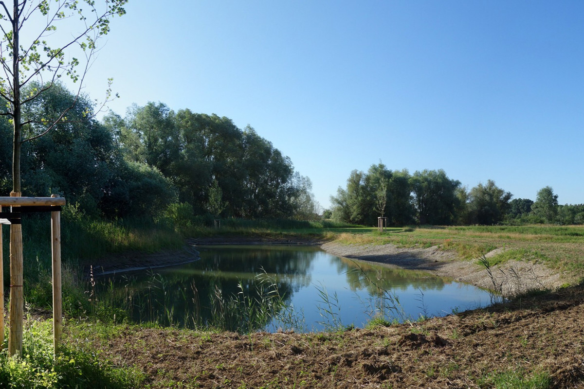 Einbogenlohe - naturnahes, grundwassergespeistes Stillgew�sser im Lohenbogen von Spitalhof, das sich in den kommenden Jahren zu einem Gew�sserbiotop entwickeln soll.