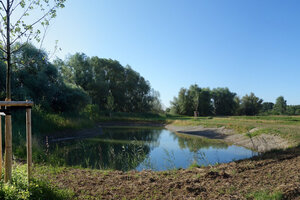 Bild vergr&ouml;&szlig;ern: Einbogenlohe - naturnahes, grundwassergespeistes Stillgew&auml;sser im Lohenbogen von Spitalhof, das sich in den kommenden Jahren zu einem Gew&auml;sserbiotop entwickeln soll.