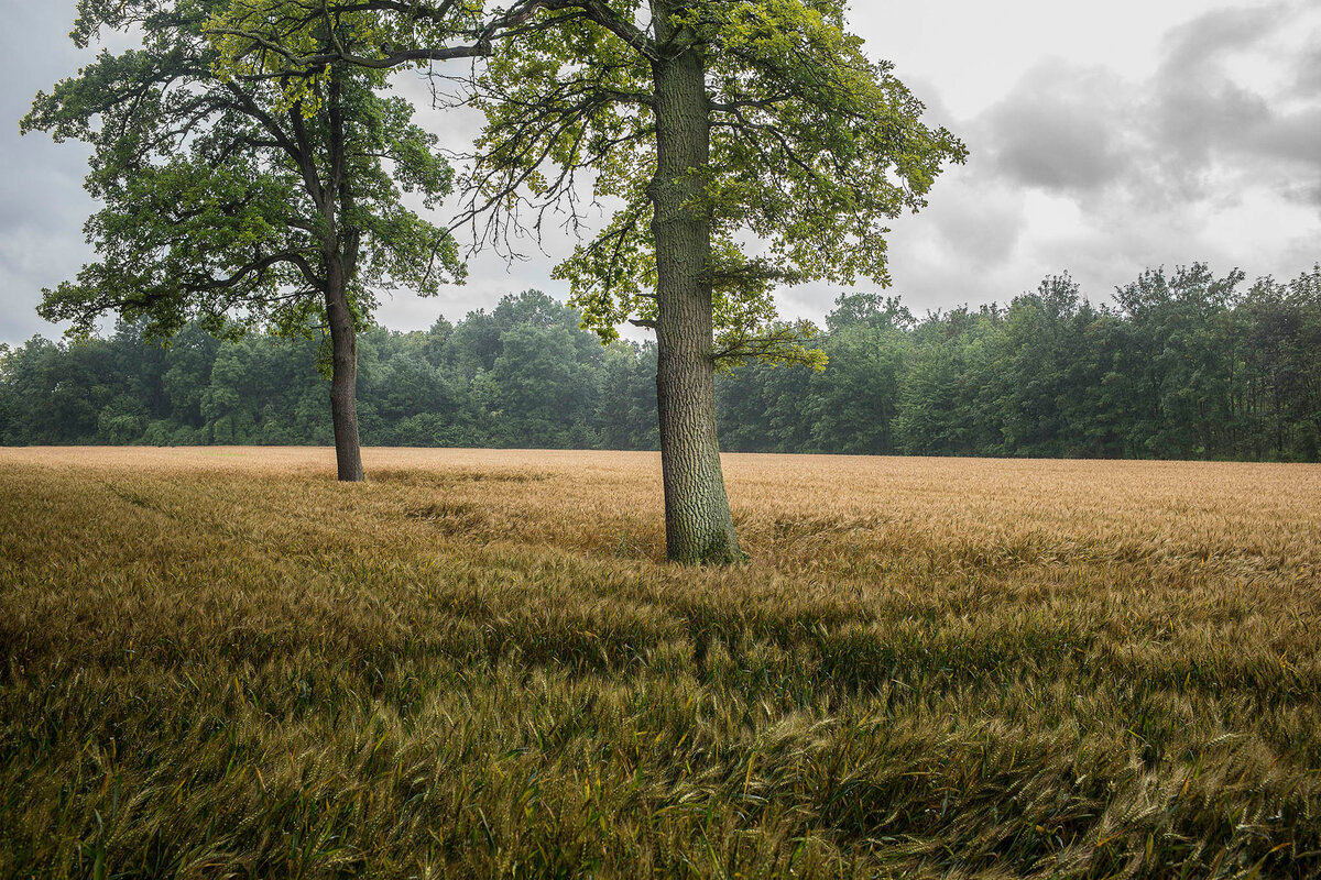 Anton Brandl zeigt Fotografien im Bauernger&auml;temuseum Hundszell