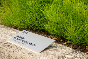 Bild vergr&ouml;&szlig;ern: Neues Pflanzenschild im Duft- und Tastgarten
