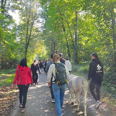Bild vergr&ouml;&szlig;ern: Peter-Steuart-Haus  - Wanderung mit Esel