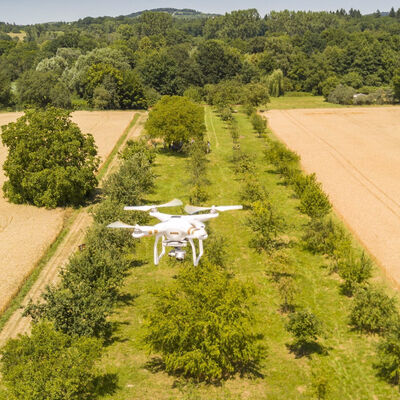 Bild vergr&ouml;&szlig;ern: Geomonitoring von Streuobstwiesen