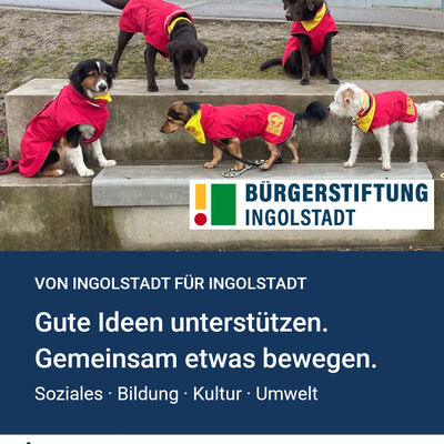 Bild vergr&ouml;&szlig;ern: B&uuml;rgerstiftung_2