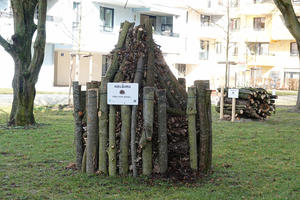 Bild vergrößern: Igelburg und Totholzstapel dienen dem Artenschutz