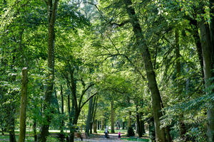 Bild vergrößern: Der Luitpoldpark