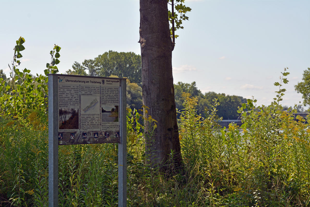 Info-Tafel zur Uferrenaturierung am Treidelweg