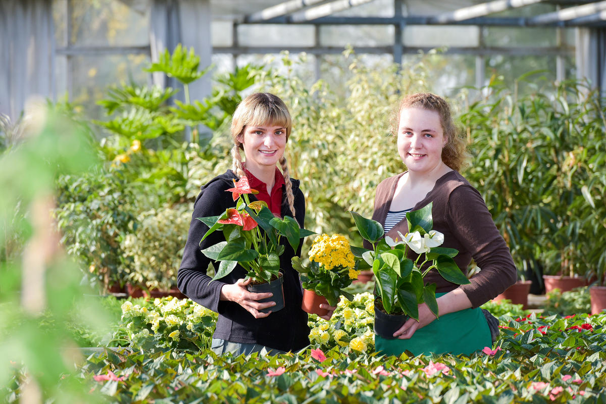 Gärtner /in (m/w/d) Fachrichtung Zierpflanzenbau