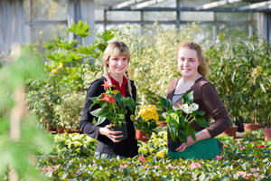 Ausbildung Gärtner/-in (m/w/d) - Fachrichtung Zierpflanzenbau