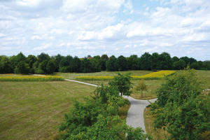 Bild vergrößern: Ein leuchtendes Band aus Sonnenblumen ziert im Sommer den Fort-Haslang-Park