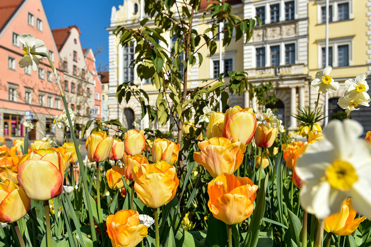 Blumenbeete auf dem Rathausplatz