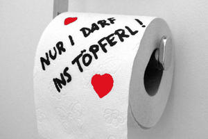 Nur Klopapier in Toiletten entsorgen