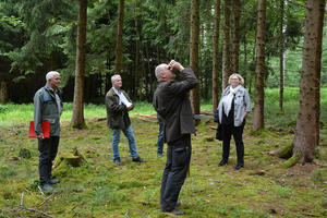 Bild vergrößern: Der Forstsachverständige Alfred Raunecker hat den städtischen Wald im Neuhau genau unter die Lupe genommen. Im Hintergrund (v.l.): Alois Hecker vom staatlichen Forstamt, der Leiter des städtischen Forstamtes, Hubert Krenzler und Bürgermeisterin Petra Kleine