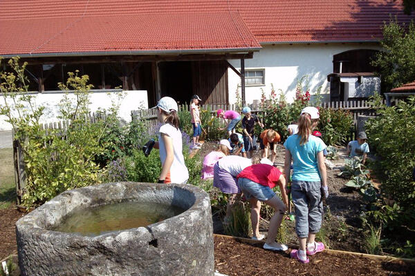 Wie Maschinen das Leben auf dem Bauernhof veränderten 