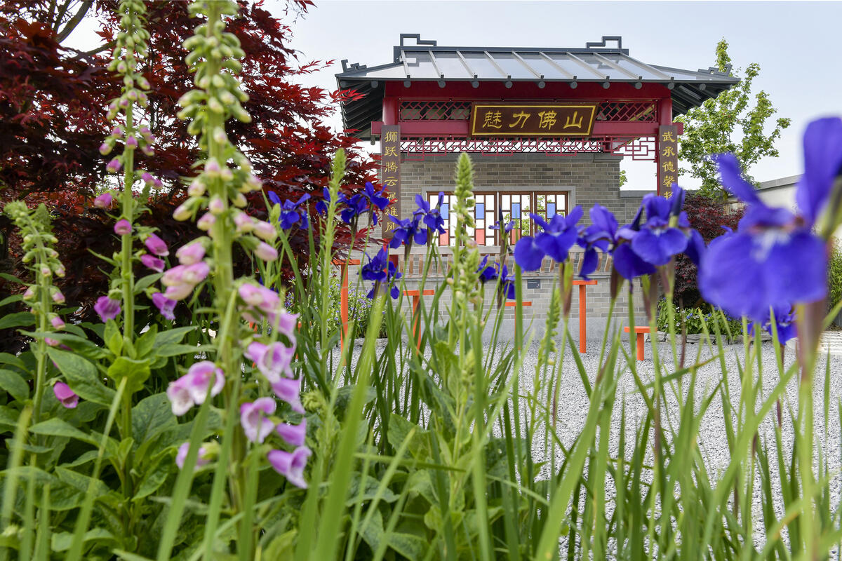 Gärten der Partnerstädte - Foshan