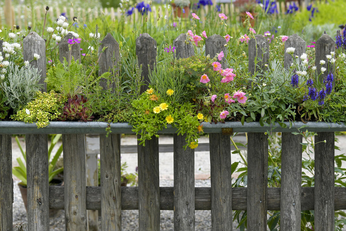 Garten der Zukunft