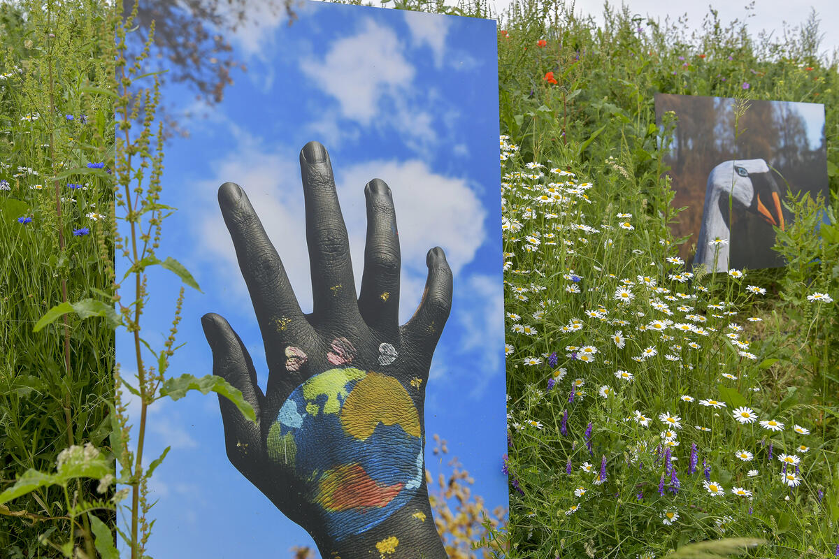 Landesgartenschau 2020