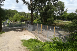Bild vergrößern: Neuer Zaun ums Wildschweingehege am Baggersee