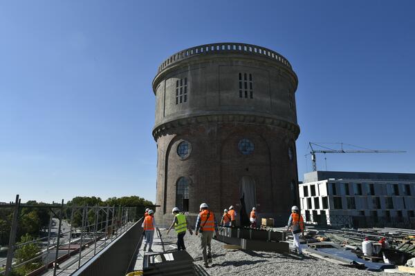 Auf dem Dach zwischen Wasserturm und Trafohaus