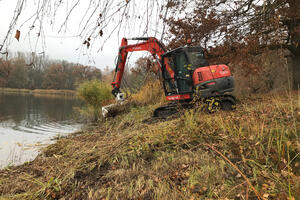 Bild vergrößern: Das Schilf am Baggersee-Ufer wurde nun gemäht