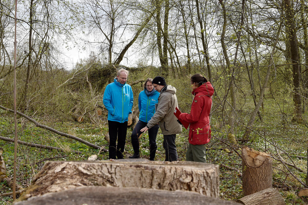 Die Vermessung der Naturschätze