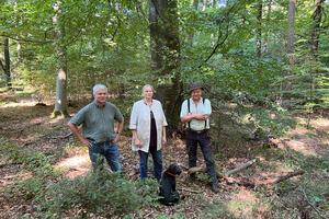Bild vergrößern: (v.l.) Forstamtsleiter Hubert Krenzler, Bürgermeisterin Petra Kleine und Andreas Naumann, Forstamt, im städtischen Forst