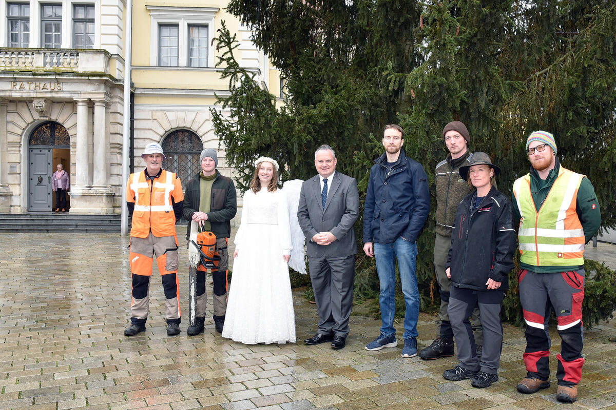 Christbaum Rathausplatz