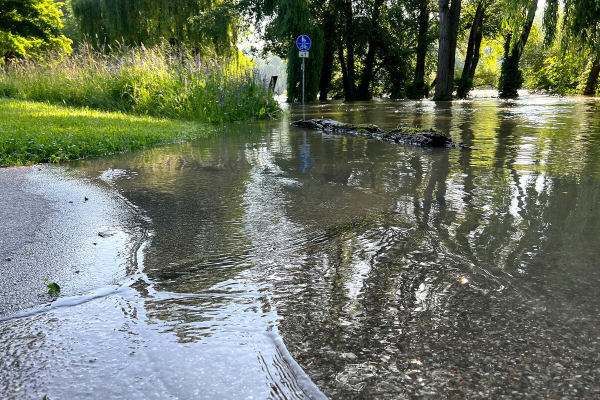 Glacis - Hochwasser 2024