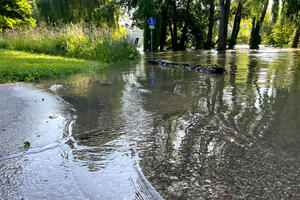 Bild vergr&ouml;&szlig;ern: Glacis - Hochwasser 2024
