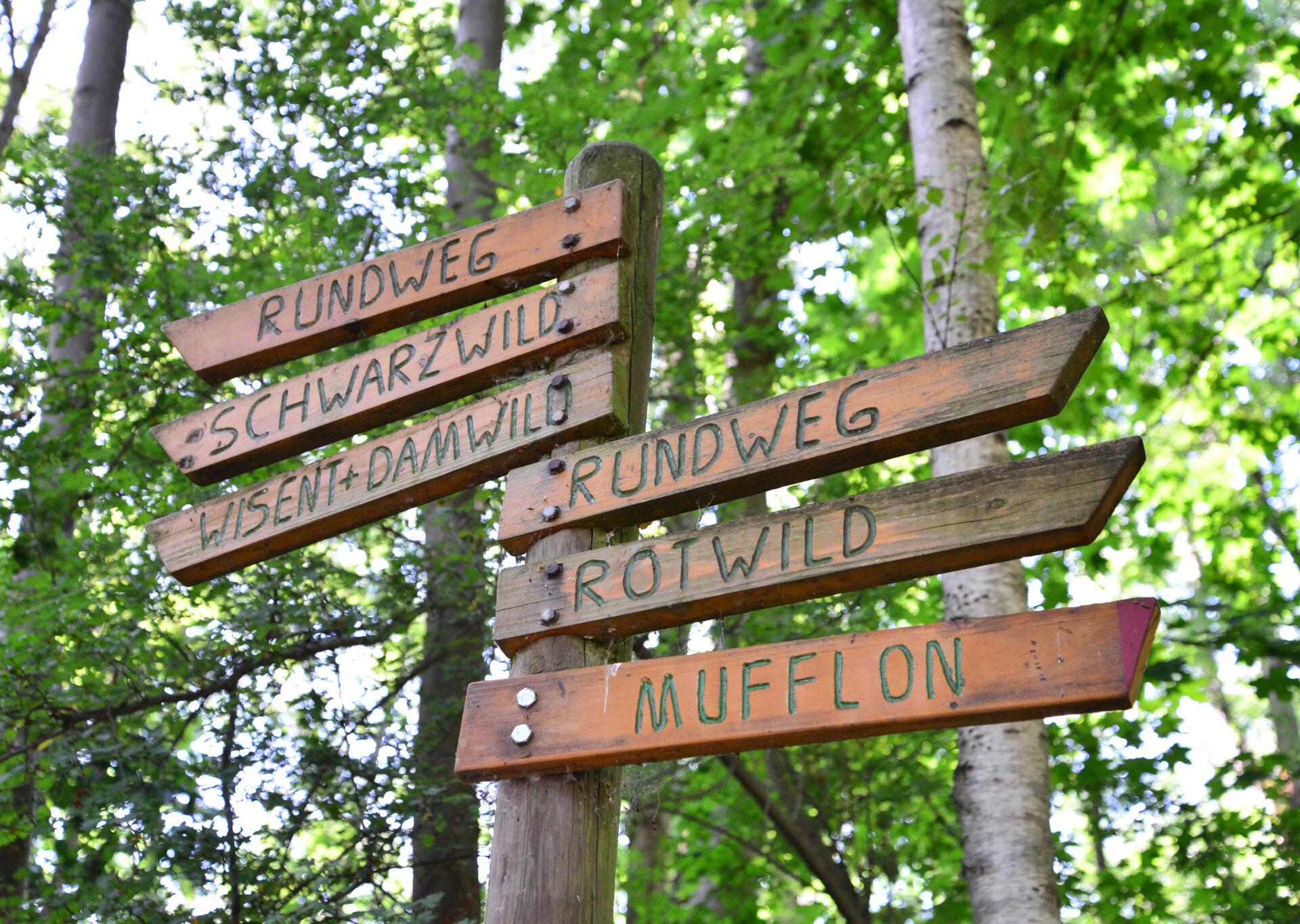 Wildpark am Baggersee