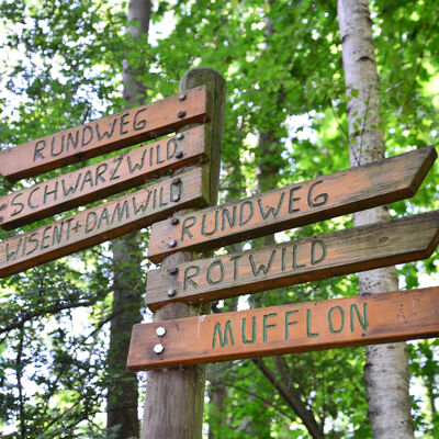 Wildpark am Baggersee
