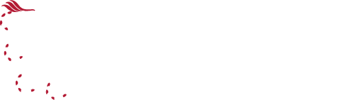 Stadt Ingolstadt: Zur Startseite