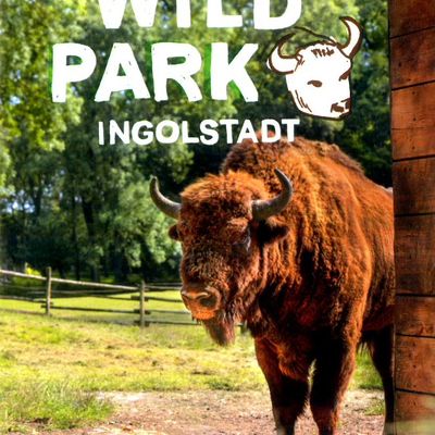 Bild vergr&ouml;&szlig;ern: Wildpark Ingolstadt