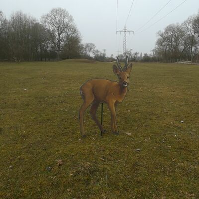 Bild vergrößern: Pirschpfad im Wildpark am Baggersee