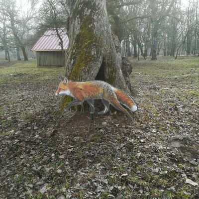 Bild vergrößern: Pirschpfad im Wildpark am Baggersee