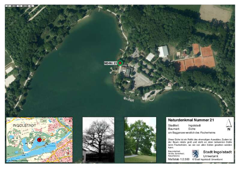 Dokument anzeigen: Naturdenkmal 21 Eiche am Baggersee