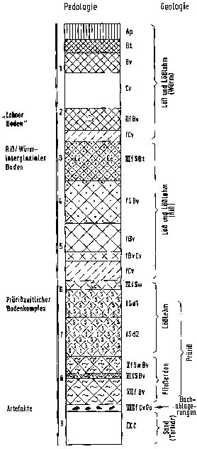 Profil von Attenfeld