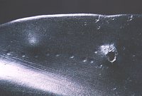 Abb. 1