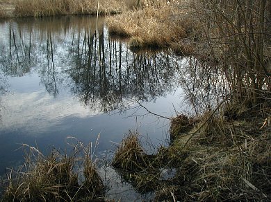 Gleßbrunnen. Foto: Kurt Scheuerer.